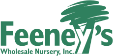 Feeney's Wholesale Nursery